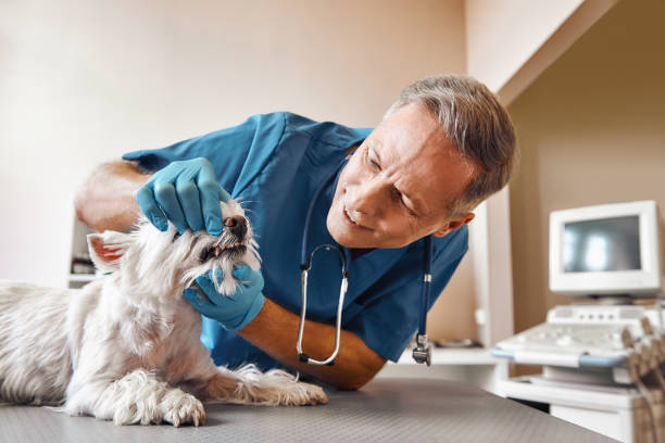 Best Emergency Dental Surgery in Jackson, MI